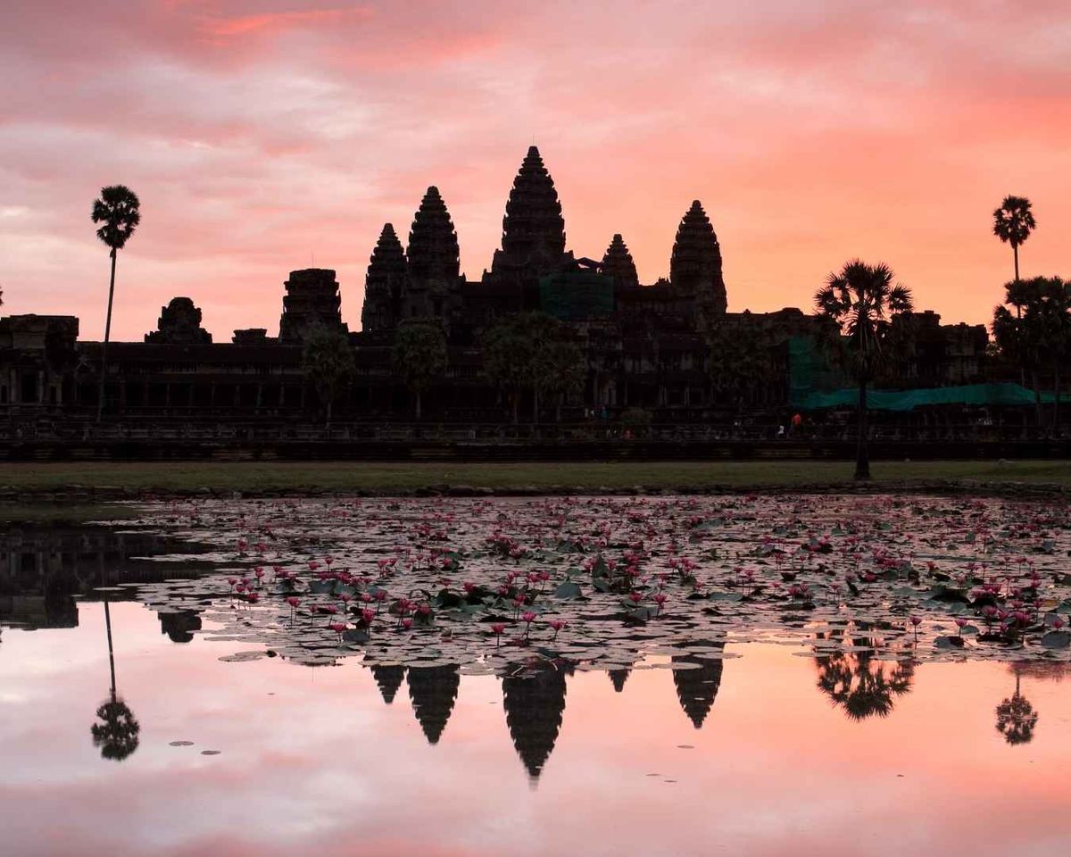 Angkor Wat silhouetted against a pink sunset, reflected in a lotus pond