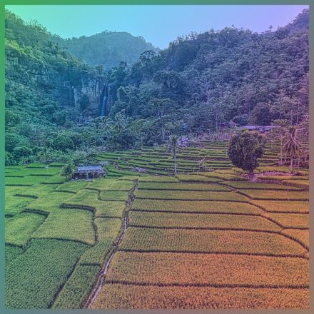 Rice terraces under an iridescent overlay